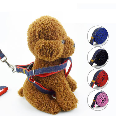 Dog Leash Harness Adjustable & Durable Leash Set & Heavy Duty Denim Dog Leash Collar - small